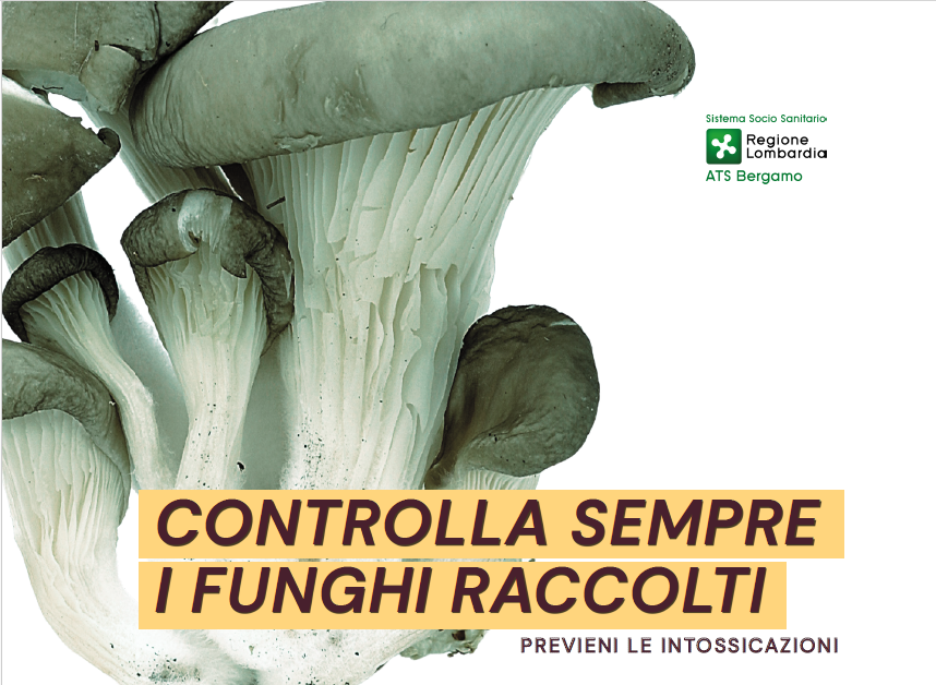 Immagine  ISPETTORATO MICOLOGICO – SERVIZIO DI CERTIFICAZIONE GRATUITA PER LA COMMESTIBILITÀ DEI FUNGHI EPIGEI RACCOLTI DAI CITTADINI - ANNO 2026