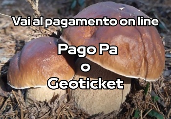 Acquisto on line Tesserino funghi Acquisto on line Tesserino funghi