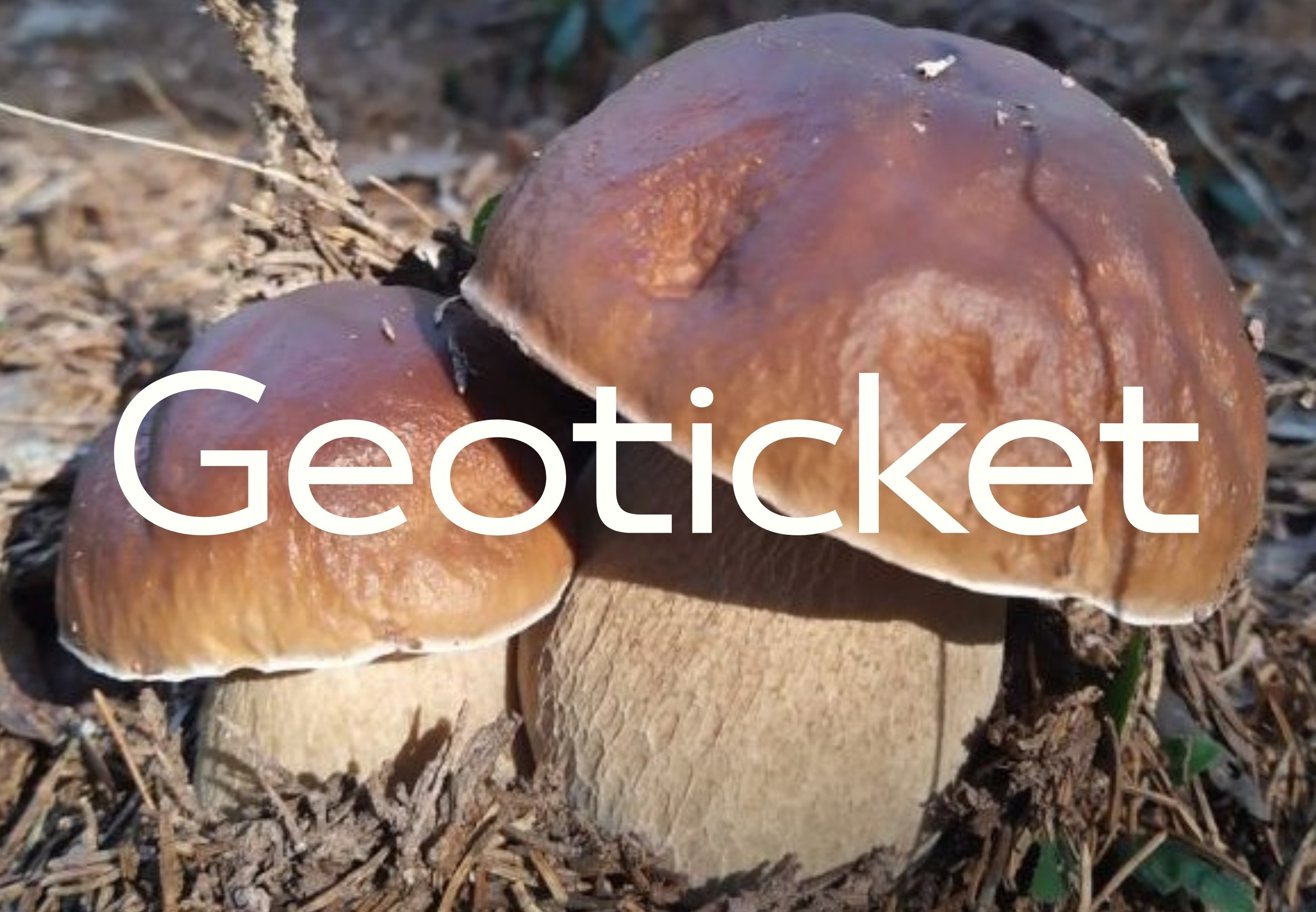 geoticket