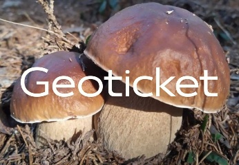 geoticket geoticket