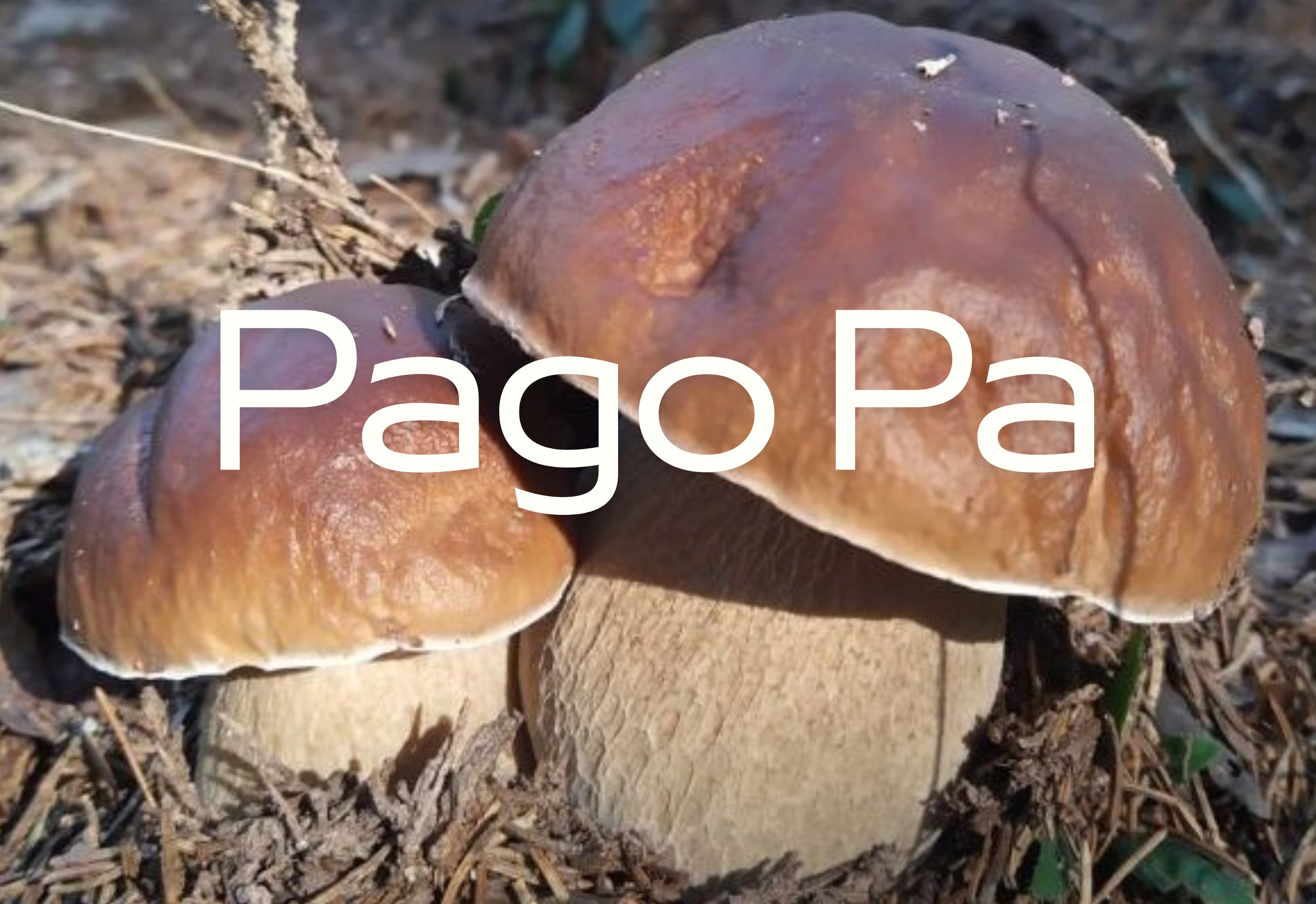 pago pa
